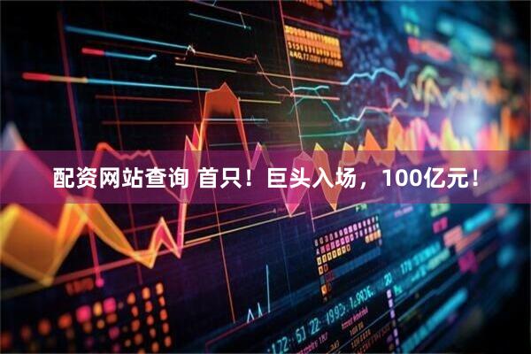 配资网站查询 首只！巨头入场，100亿元！