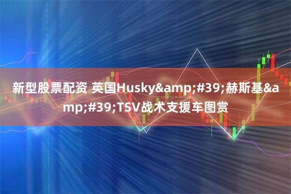 新型股票配资 英国Husky&#39;赫斯基&#39;TSV战术支援车图赏