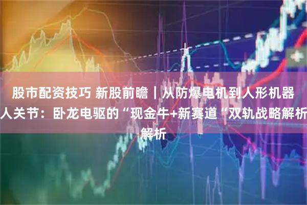股市配资技巧 新股前瞻｜从防爆电机到人形机器人关节：卧龙电驱的“现金牛+新赛道“双轨战略解析