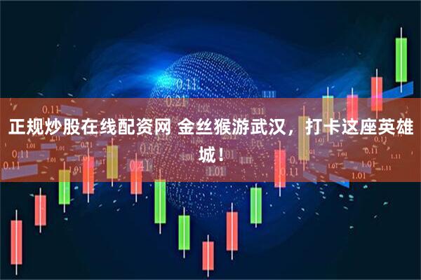 正规炒股在线配资网 金丝猴游武汉，打卡这座英雄城！